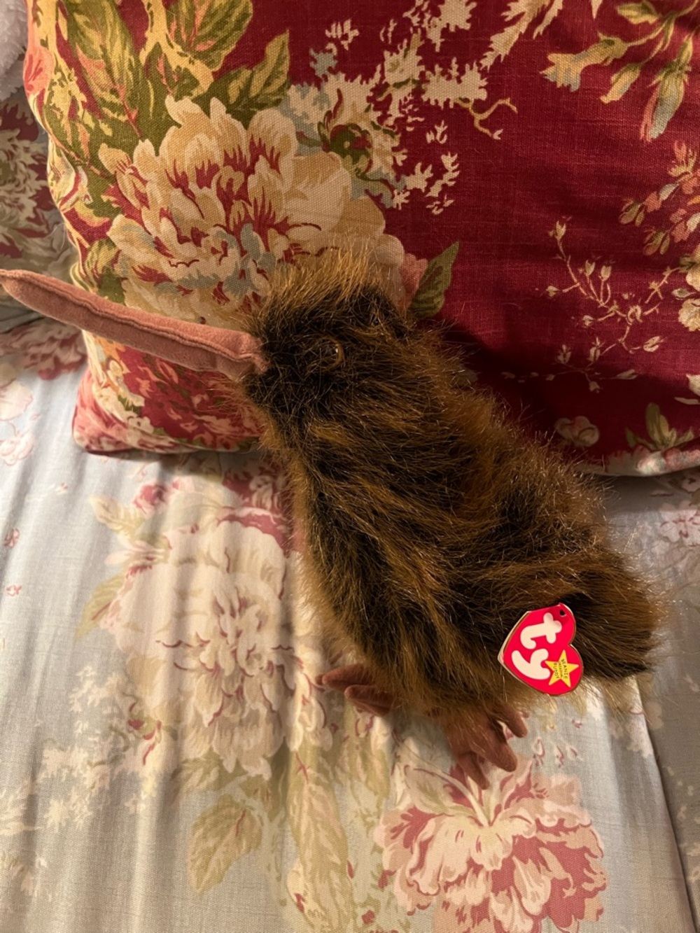 Ty Beanie Babies Brown Kiwi Plush Toy - Soft Small Beak Plush